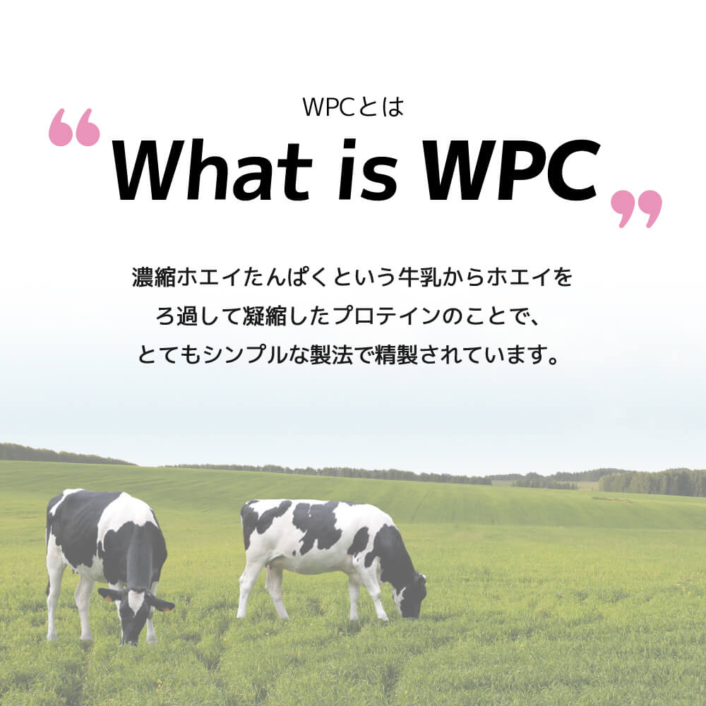 FIXIT プロテイン wpc プレーン 1kg Think Simple 無香料 無着色 低糖質 低脂質 高タンパク ホエイプロテイン プロテイン ホエイ whey ホエイ100 ケトジェニック サプリメント【男性 女性 筋トレ ダイエット 減量 ボディメイク に 】