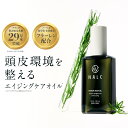 ヘアオイル（予算3000円以内） ★新発売★【ノーベル化学賞受賞成分】フラーレン配合 洗い流さないトリートメント ヘアオイル 紅茶の香り エイジングケア ナルク 無添加 ノンシリコン 全身に使える オイル ギフト メンズ マルチオイル アウトバス スタイリング ツヤ オーガニック ヘアトリートメント