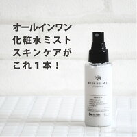 NULL オールインワン 化粧水 メンズ オールインワン化粧水【 化粧水 乳液 美容液 クリーム がこれ1本! スプレー 式 手間がないのに うるおい 長続き】ヒリヒリしない 敏感肌 にも オールインワンジェル より ベタつかない オールインワン化粧水