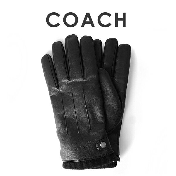 コーチ(COACH) メンズ手袋 | 通販・人気ランキング - 価格.com