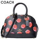 コーチ COACH レディース バッグ ハンドバッグ F39...