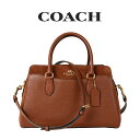 R[` COACH AEgbg fB[X obO nhobO t@Xi[J CM100 IMR1W(bhEbh) uE