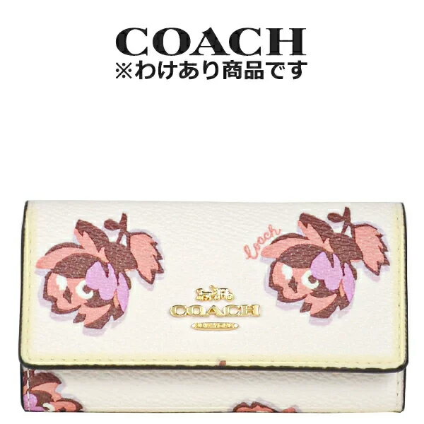  ڤ櫓ۥ COACH ȥå ǥ ʪ  79637 GDPLF(ɡߥ硼եץ...