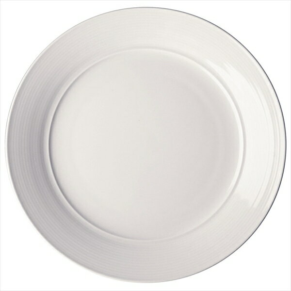 オーラ30プレート [ 1312430033500 ] RAU0101