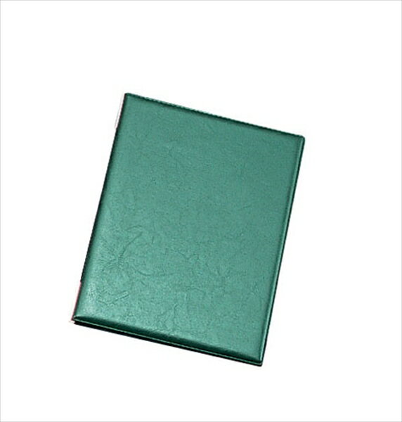 Aim(えいむ) えいむ レザータッチメニューブック [ LB-401（大）グリーン ] PEI2604