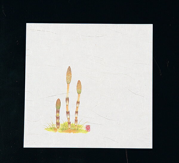 ニュー四季懐紙5寸（100枚入） [ NS－5つくし ][ 9-2179-2301 ] QKIH701