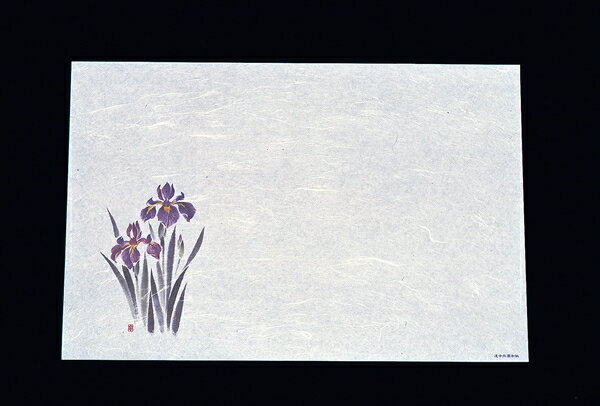 遠赤抗菌和紙尺3まっと（100枚入） [ あやめWS－11 ][ 9-2190-2501 ] QMT28