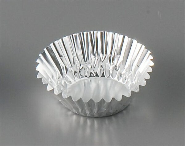 合紙ナシアルミケース [ 5号深5F（500枚入） ][ 9-1564-1701 ] XAL6401