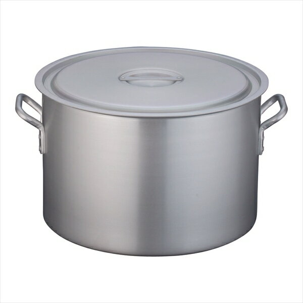 TKGݥ졼 Ⱦƹ顡ߥ˥ʥޥȲù [ աTKG48cm ] AHV6248