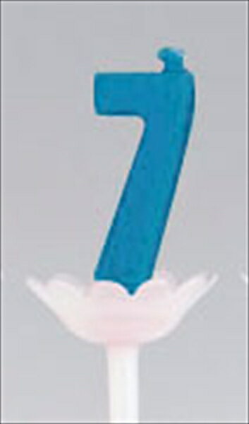 �ѥץ�ǥ��åȥ����ɥ� [ ��7 ] NKY1508