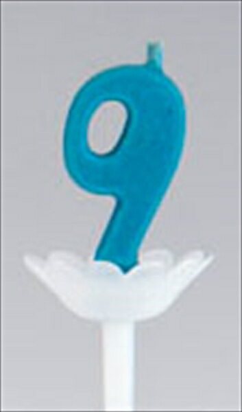 �ѥץ�ǥ��åȥ����ɥ� [ ��9 ] NKY1510