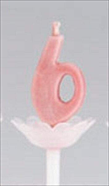 �ѥץ�ǥ��åȥ����ɥ� [ ��6 ] NKY1527