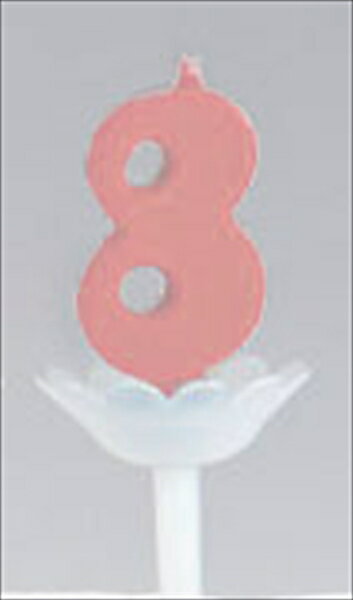 �ѥץ�ǥ��åȥ����ɥ� [ ��8 ] NKY1529