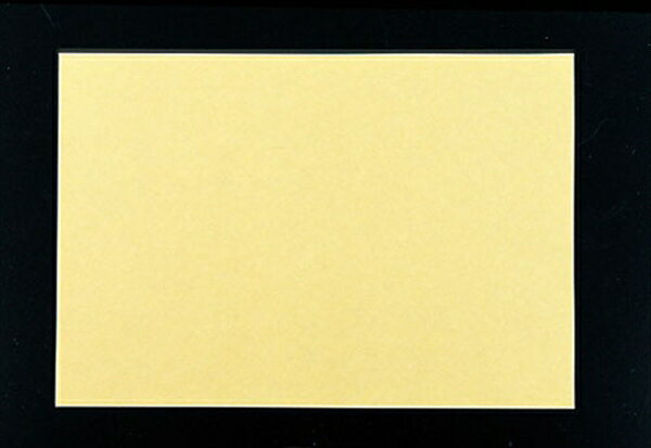 テーブルマット里紙（100枚入） [ なのはな1100 ] QTC38 [ 1-2213-0101 ]
