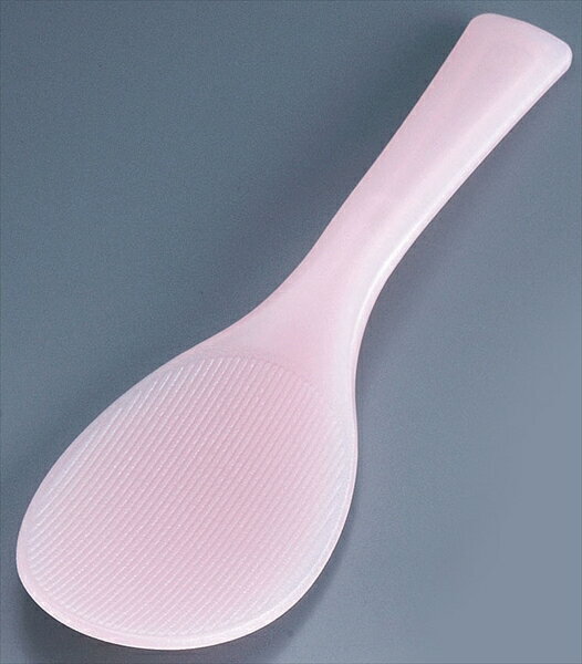 �ְ沽�� ���ݡ���ˡ�Τ���⤸�ʹ��ա˥�����ȥ� [ �ԥ� ] BSY5301