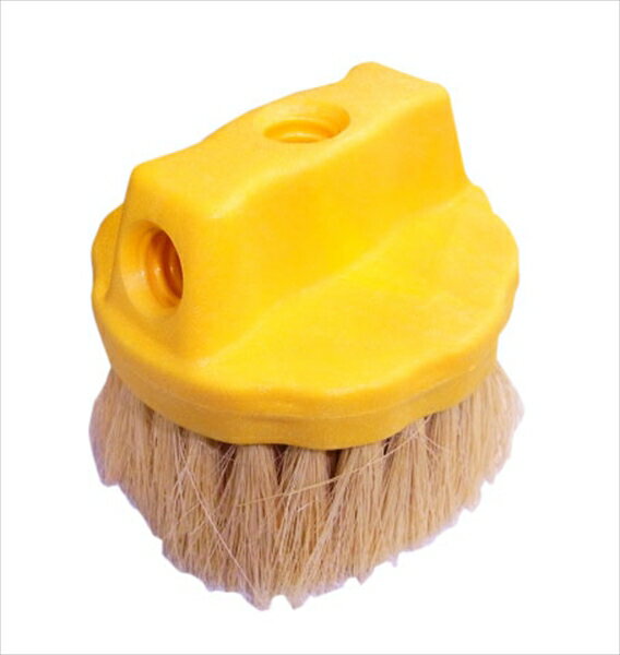 Trust(�ȥ饹��) �ȥ饹�ȡ��饦��ɥ����å���֥饷 [ 6784���������� ] KTLG902