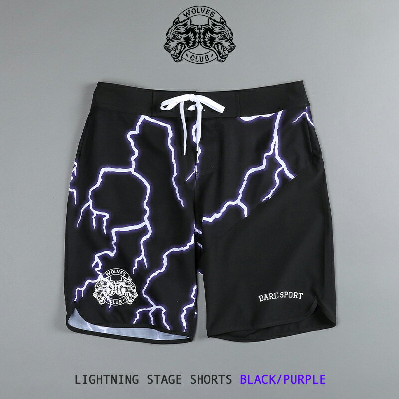 ダルクスポーツ サーフパンツ DarcSport 水着 ステージ ショーツ LIGHTNING STAGE SHORTS BLACK/PURPLE メンズ ハーフパンツ 短パン フィジーカー 筋トレ ジム ウエア 正規品