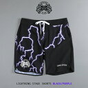 ダルクスポーツ サーフパンツ DarcSport 水着 ステージ ショーツ LIGHTNING STAGE SHORTS BLACK/PURPLE メンズ ハーフパンツ 短パン フィジーカー 筋トレ ジム ウエア 正規品 衣類