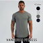 VANQUISH FITNESS 󥭥å եåȥͥ CORE MENS SHORT SLEEVED T SHIRTȾµ T  ڥȥ   ݡĥ ꥹ []