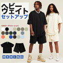 セットアップ メンズ 半袖 Tシャツ ショーツ 上下セット オーバーサイズ ヘビーウェイト 厚手 無地 コットン ハーフパンツ ストリート 筋トレ ジム ユ00...