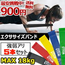 エクササイズバンド WILLS FITNESS トレーニングチューブ フィットネスバンド ゴムバンド 5本セット 強度別 ゴムチューブ ストレッチ ヨガ 下半身 太もも 室内 運動 自宅 ヒップアップ 美尻 体幹 筋トレ ユ00582