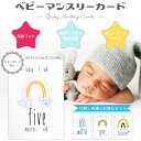 ベビー マンスリーカード スタンダード 16枚セット 1才まで用 メモリアル ハガキサイズ ポストカード 誕生日 記念 月齢 マイルストーン ニューボーンフォト...