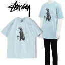 Xe[V[ STUSSY TVc BIG&MEATY PIG.DYED TEE 1904880-SKY BLUEyVz