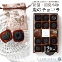 kinokoto 炭のチョコラ 消臭剤 日本製 12個入り 