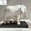 $10 white elephant giftβ