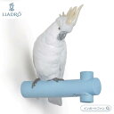 リヤドロ 夢見るオウム キバタン ウォールフック 鳥 01007853 LLADRO ギフト プレゼント【ポイント最大47倍!楽天スーパー セール】
