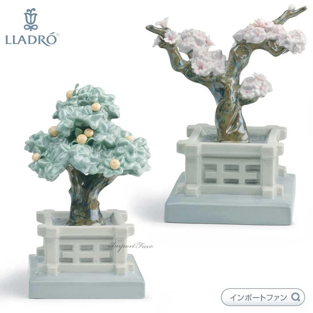 ɥ  2å 01008455 LLADRO  ͷҤʺפ ե ץ쥼 