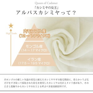 【P10倍】カシミヤ100%ストール大判シフォン薄手カシミヤストールRegreリグレ【あす楽】【ポイント最大39倍!楽天スーパーSALE】