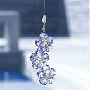 XtXL[ 2011N SCS A[NeBbN EBh[ I[ig 1055006 Swarovski Arctic Membership Window Ornament Mtg v[g 