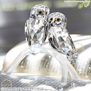 ե ե 1003312 Swarovski Owls Ϸ ե ץ쥼 