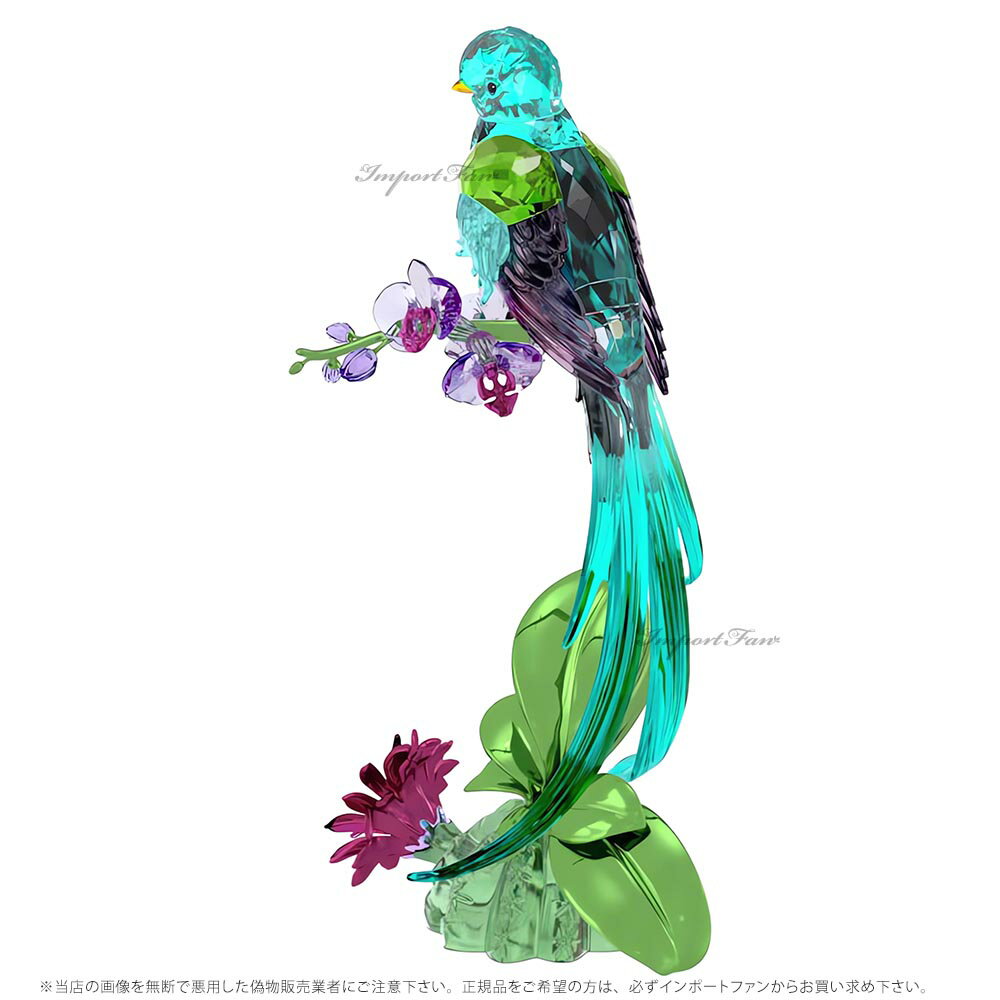 スワロフスキー イディリア ケツァールとオーキッド 鳥 サボテン 置物 5682123【ポイント最大47倍!楽天スーパー セール】