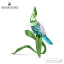 スワロフスキー イディリア エボシドリ 鳥 グリーン 5693147【ポイント最大47倍!お買い物マラソン セール】