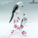 スワロフスキー 守護神 マグピーズ カササギ 鳥 5004639 Swarovski 置物 ギフト プレゼント □