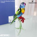 スワロフスキー ゴシキセイガイ インコ 鳥 レインボー 5136832 置物 Swarovski 置物 ギフト プレゼント□