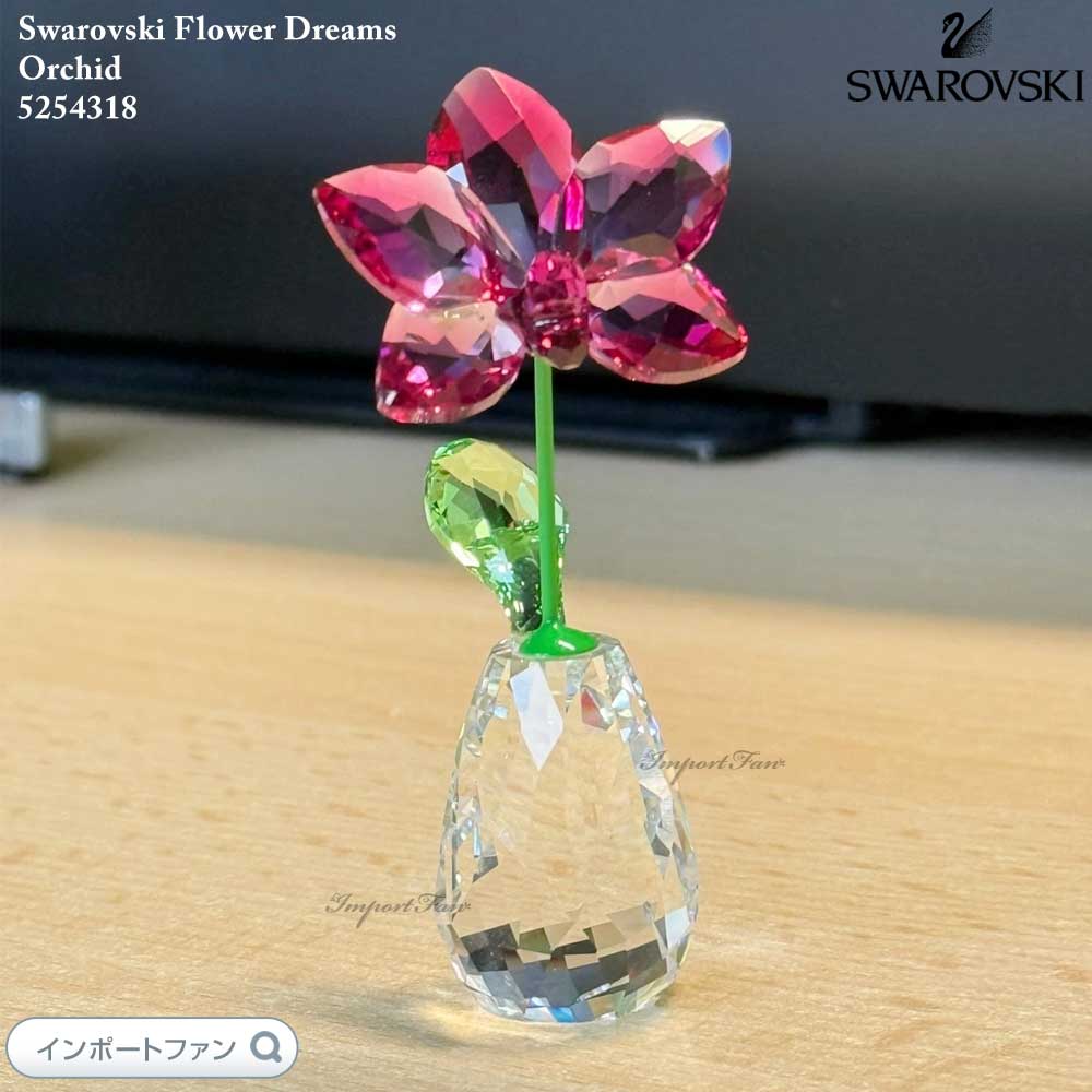 ե եɥ꡼ॹ å    5254318 Swarovski ʪ ե ץ쥼 