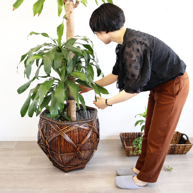 春の最新作 送料無料 鉢カバー 大型 ラタン 高級 収納 アジアン リゾート インテリア おしゃれ 観葉植物 リビング 上品 カゴ ロビー ホテル バンブー 雑貨 ホテルライク 寝室 人気商品再入荷 Goodsome Co 春の最新作 送料無料 鉢カバー 大型 ラタン 高級 収納 アジアン リゾート インテリア おしゃれ 観葉植物 リビング 上品 カゴ ロビー ホテル バンブー 雑貨 ホテルライク 寝室 人気商品再入荷 Goodsome Co
