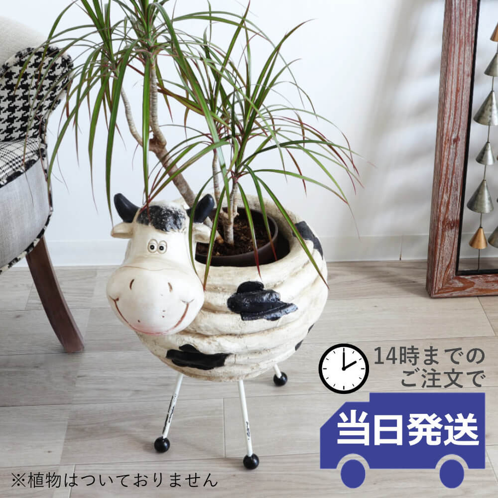 楽天市場】動物(植木鉢・プランターカバー|植木鉢・プランター 楽天市場】動物(植木鉢・プランターカバー|植木鉢・プランター