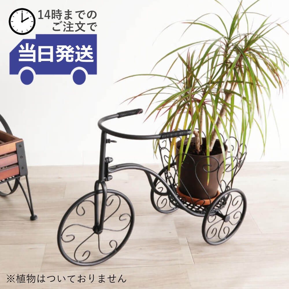 楽天市場】おしゃれ 自転車(植木鉢・プランター|ガーデニング 楽天市場】おしゃれ 自転車(植木鉢・プランター|ガーデニング