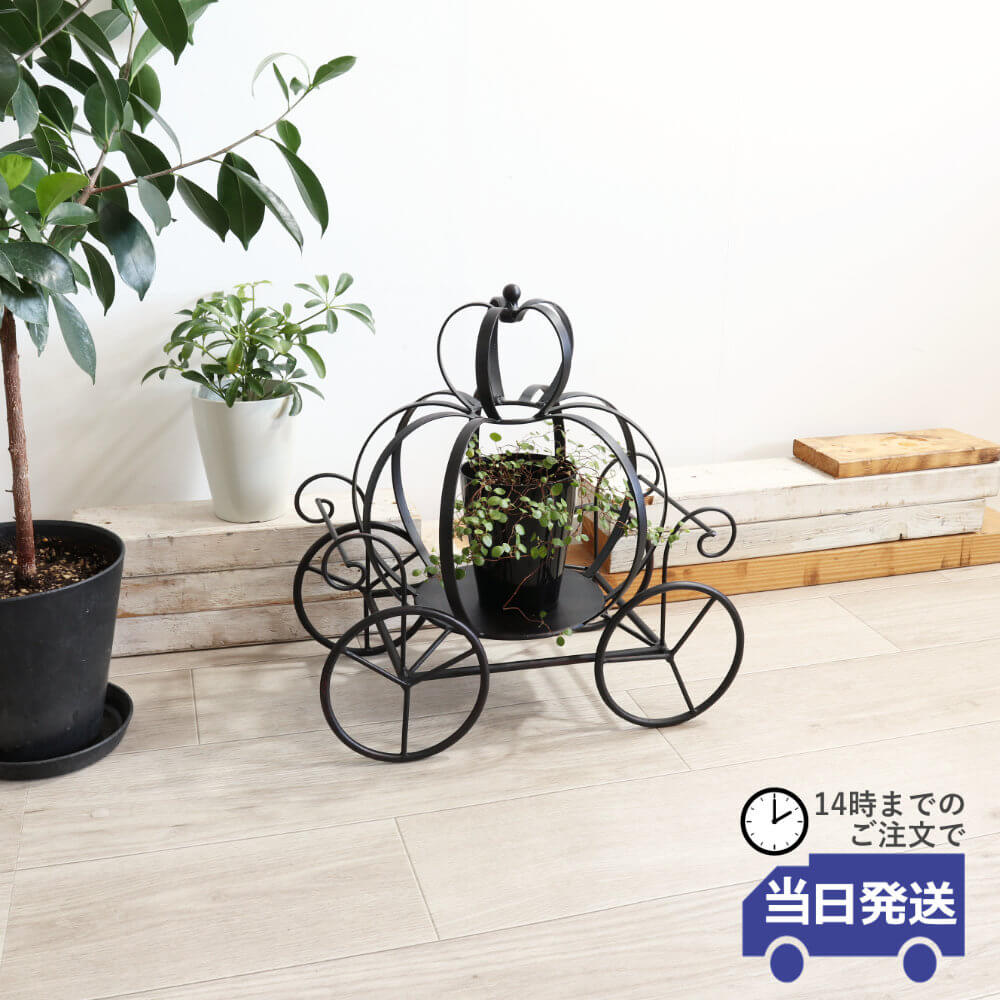 【当日発送 動画あり】花台 アイアン おしゃれ プランタースタンド ディスプレイ台 室内 かわいい 雑貨 鉢花置き フラワースタンド ベランダ ガーデニング アイアン雑貨 オブジェ 玄関 インテリア リビング 置物 カダイ 花置き 北欧 シンプル 父の日のサムネイル