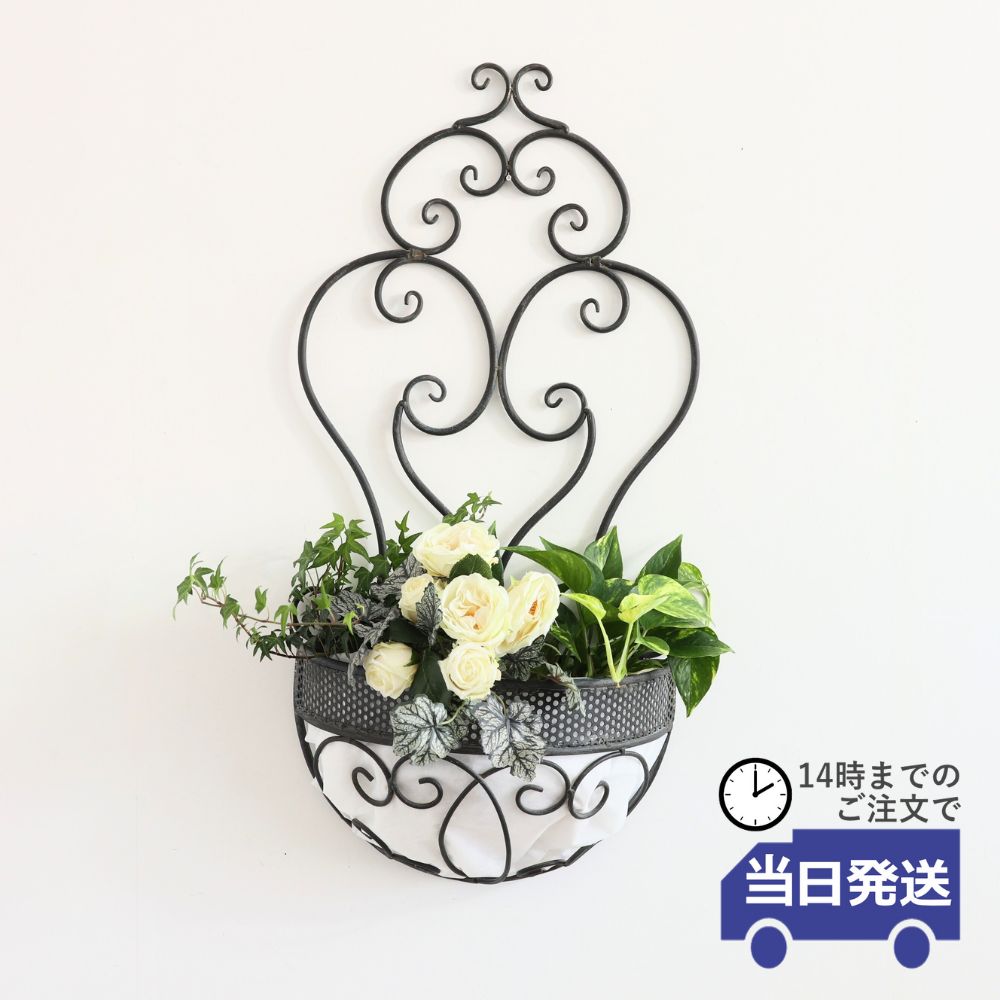 【当日発送】フラワーベース 壁掛け かご 壁飾り 花 壁 植物 インテリア ウォールデコ おしゃれ 北欧 プランター アイアン 造花 アンティーク 花瓶 ディスプレイ リビング 玄関 装飾 店舗 アート トイレ レトロ シャビーシックのサムネイル