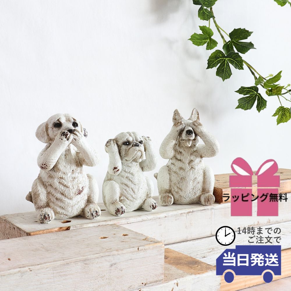 楽天市場】アンティーク ディスプレイ 雑貨の通販