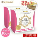 【まとめ買い 10 OFF】 潤滑剤ゼリー 女性用 ウェットナチュラル 2箱 (60本) 潤滑ゼリー 潤滑ジェル 潤滑 潤滑ローション 女性用潤滑 妊活 潤滑剤 女性 保湿 日本製 潤い 使い捨て 個包装 膣ケア デリケートゾーン 更年期 閉経 ボディシークレット