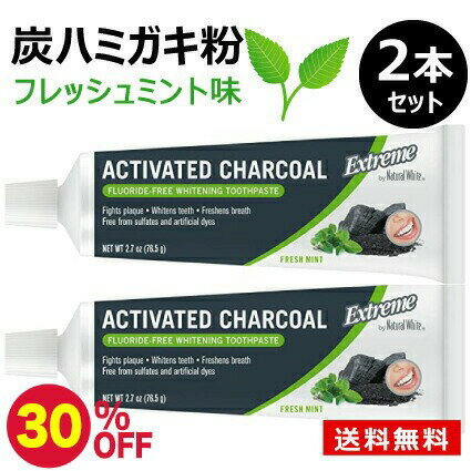 【お買い物マラソン限定 30%OFF】炭ハミガキ 炭歯磨き粉 炭ハミガキ粉 炭 ホワイトニング 歯磨き粉 フレッシュミント…