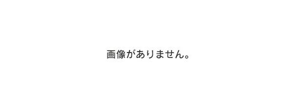 樂天商城 - 2017+ VW Atlas 21x9 用 21インチ　新品グロスブラックスタイルホイール4本セット　-BRN-11579　鍛造　★