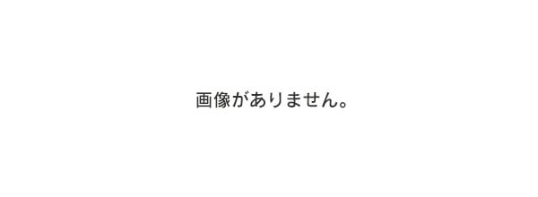 樂天商城 - 21インチ ガンメタル GT スタイル 鍛造 ホイール 2016+ ポルシェ パナメラ 971　-BRN-12757★