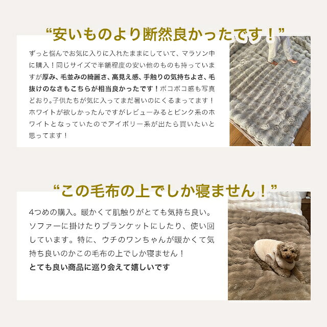 【レビュー4.7】毛布 ふんわりもこもこ毛布 あったか うっとりなめらか 抗菌 制電 収納ケース付 シングル セミダブル ダブル クイーン ハーフ ブランケット 毛布収納 ふわふわ ポコポコ 厚手 洗える 2枚合わせ エアロゲル importshopaqua-10012810 セレクトショップ・AQUA(アクア) サンプル画像3